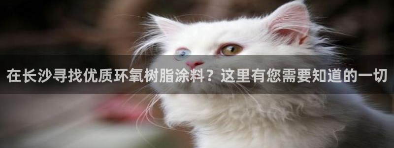 和记官方直营注册导航：在长沙寻找优质环氧树脂涂料？这里有您需要知道的一切