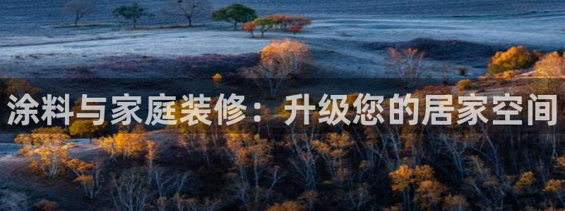 和记国际电讯市值：涂料与家庭装修：升级您的居家空间