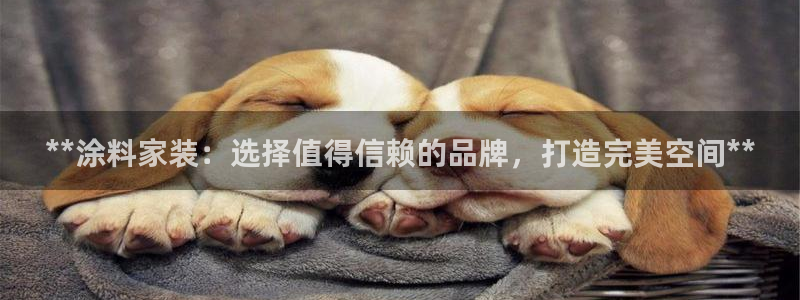 和记官方网站：**涂料家装：选择值得信赖的品牌，打造完美空间**
