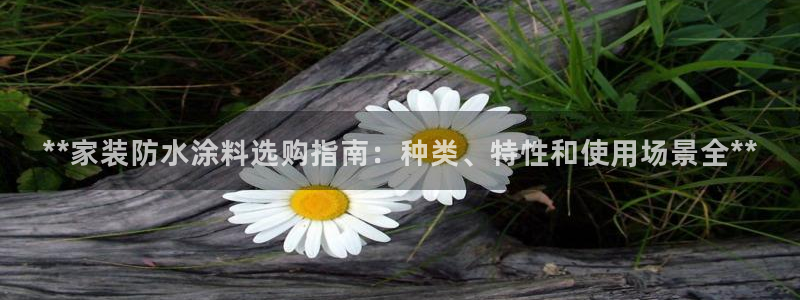 下载和记app：**家装防水涂料选购指南：种类、特性和使用场景全**