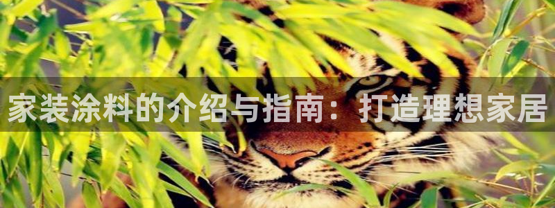 和记ag旗舰厅：家装涂料的介绍与指南：打造理想家居