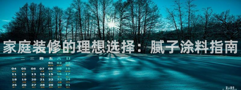 和记国际电讯市值：家庭装修的理想选择：腻子涂料指南