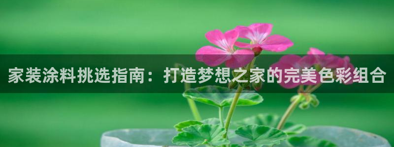 和记pc：家装涂料挑选指南：打造梦想之家的完美色彩组合