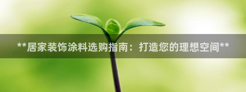 和记官网登陆：**居家装饰涂料选购指南：打造您的理想空间**