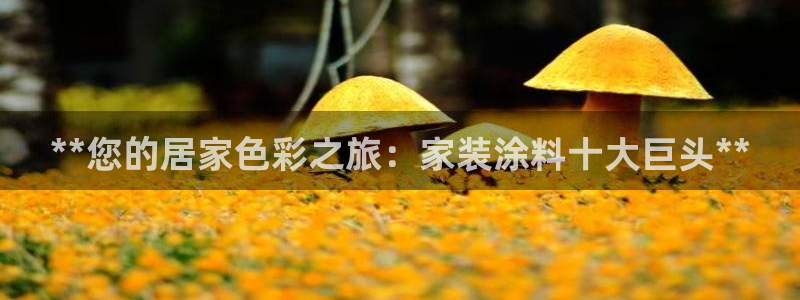 和记官方直营：**您的居家色彩之旅：家装涂料十大巨头**