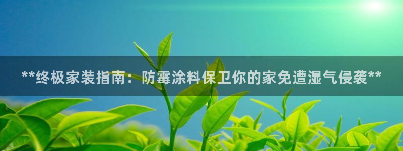 和记 中国官网：**终极家装指南：防霉涂料保卫你的家免遭湿气侵袭**