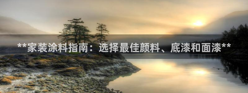和记国际开户网站：**家装涂料指南：选择最佳颜料、底漆和面漆**