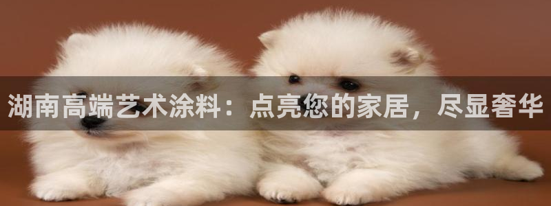 和记h8：湖南高端艺术涂料：点亮您的家居，尽显奢华