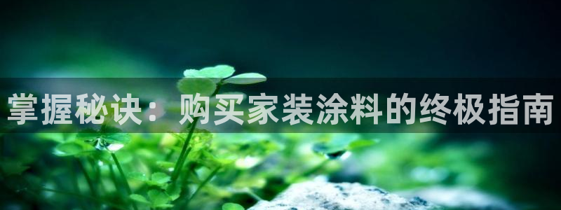 和记pc：掌握秘诀：购买家装涂料的终极指南