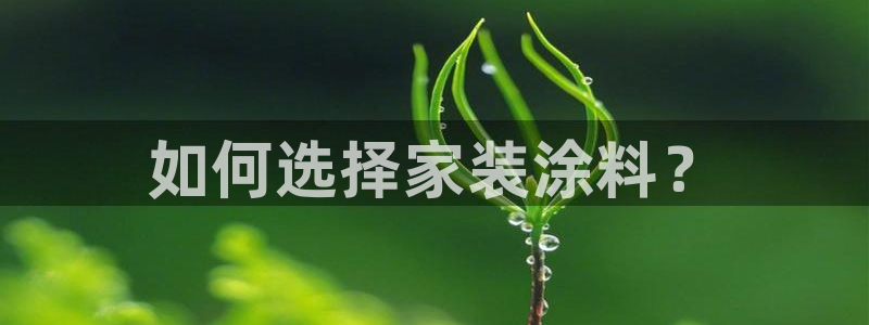 和记国际电讯市值