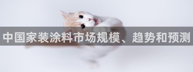 江苏和记餐饮有限公司：中国家装涂料市场规模、趋势和预测