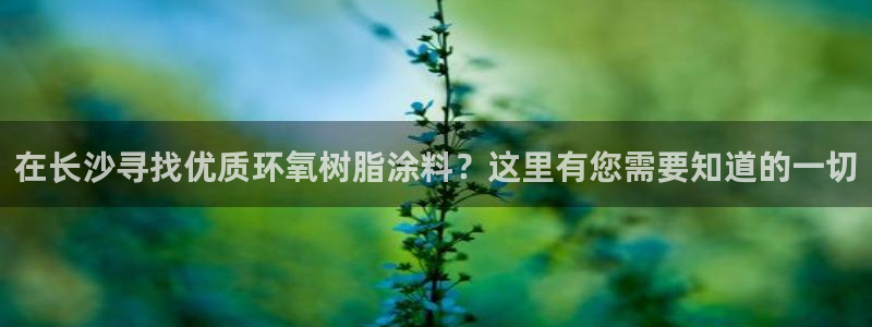 和记旗舰厅：在长沙寻找优质环氧树脂涂料？这里有您需要知道的一切