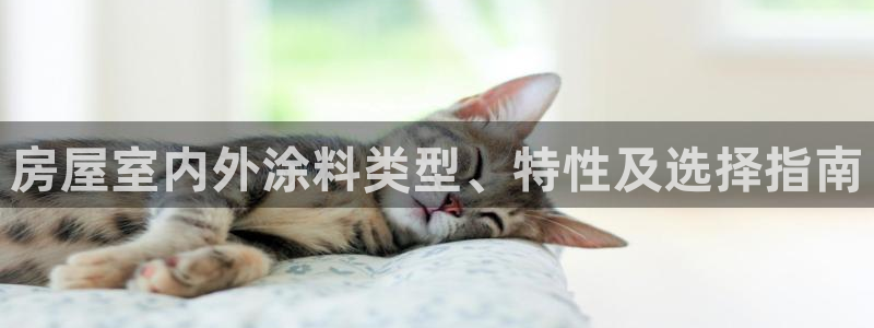 和记平台登陆：房屋室内外涂料类型、特性及选择指南