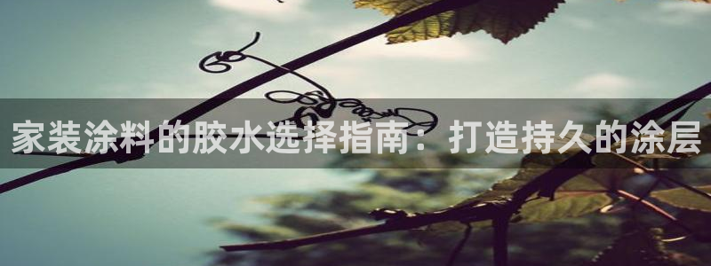 和记国际电讯市值：家装涂料的胶水选择指南：打造持久的涂层