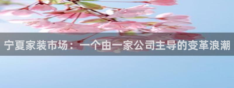 和记paging：宁夏家装市场：一个由一家公司主导的变革浪潮