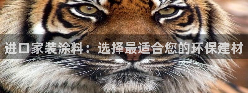 和记ag捕鱼害死多少人