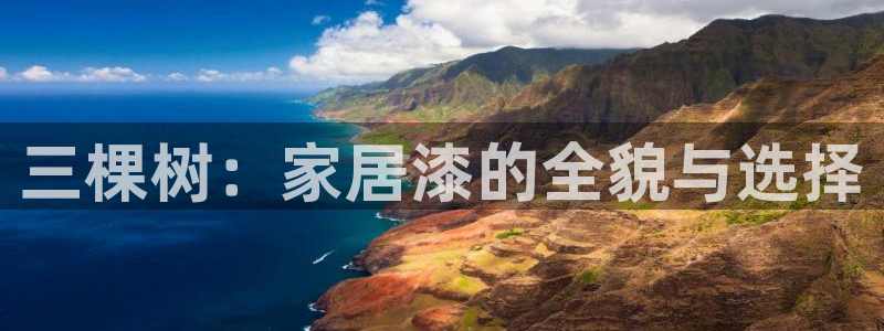 和记旗舰厅：三棵树：家居漆的全貌与选择