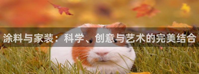 和记官方直营注册导航：涂料与家装：科学、创意与艺术的完美结合