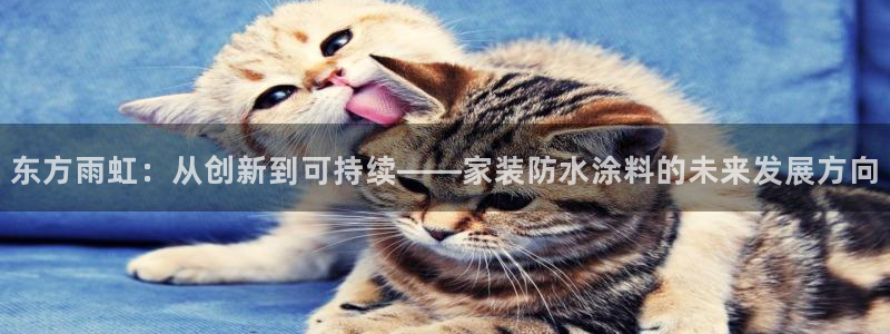 和记h8：东方雨虹：从创新到可持续——家装防水涂料的未来发展方向