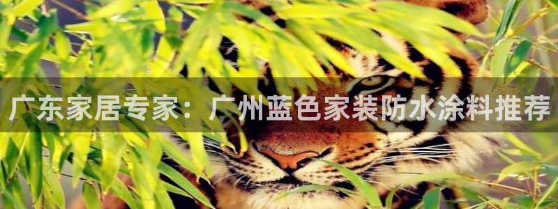 和记ag登录：广东家居专家：广州蓝色家装防水涂料推荐
