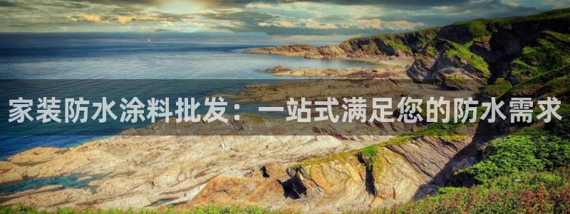 和记电业集团：家装防水涂料批发：一站式满足您的防水需求