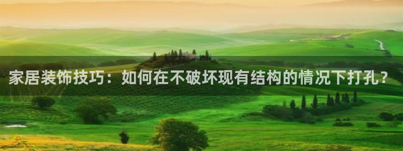 和记旗舰厅：家居装饰技巧：如何在不破坏现有结构的情况下打孔？
