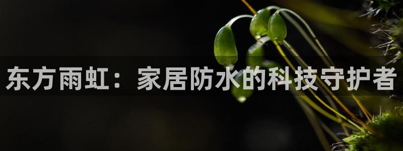 和记网页版登陆：东方雨虹：家居防水的科技守护者