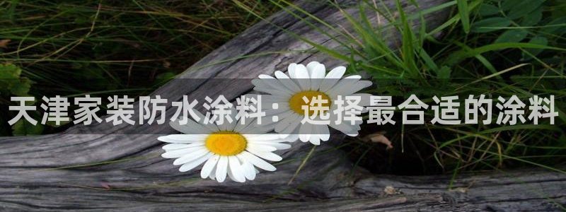 和记app官网