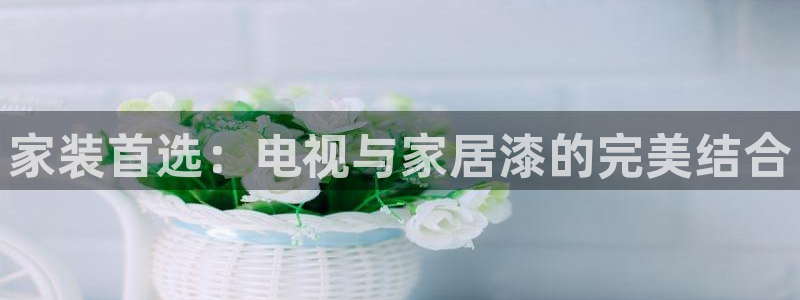 和记港口：家装首选：电视与家居漆的完美结合