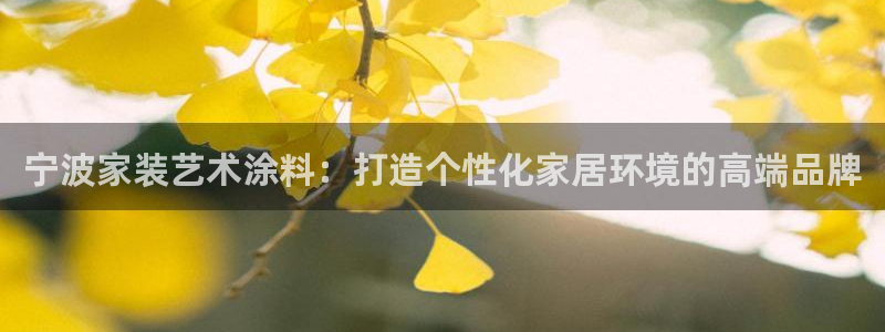 和记官方直营注册：宁波家装艺术涂料：打造个性化家居环境的高端
