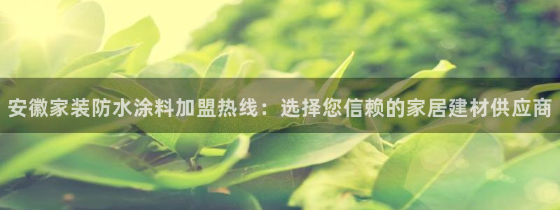 和记ag旗舰厅app：安徽家装防水涂料加盟热线：选择您信赖的家居建材供应商