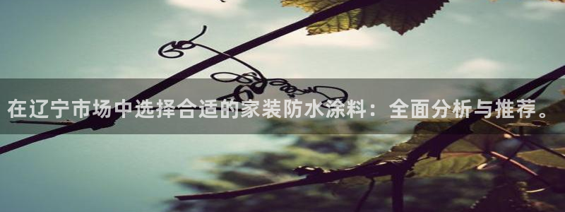 和记官方直营注册：在辽宁市场中选择合适的家装防水涂料：全面分析与推荐。