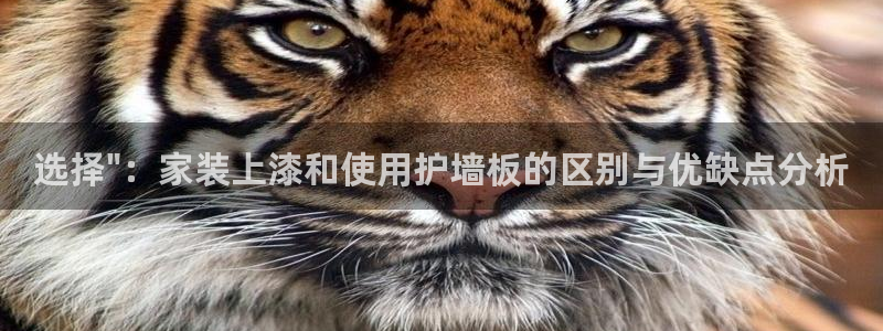 和记官网 公司：选择\
