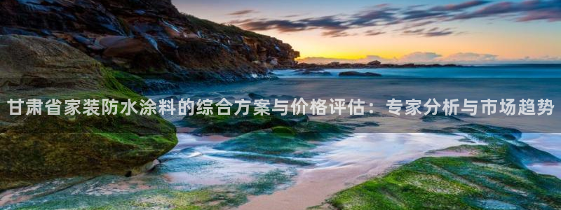 和记(福建)商贸有限公司：甘肃省家装防水涂料的综合方案与价格评估：专家分析与市场趋势