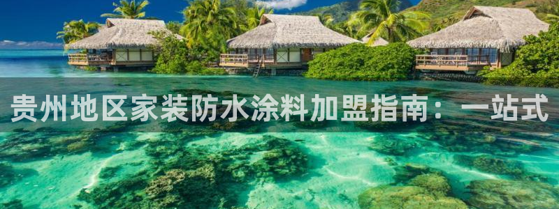 和记旗舰厅：贵州地区家装防水涂料加盟指南：一站式