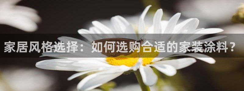 和记官方平台：家居风格选择：如何选购合适的家装涂料？