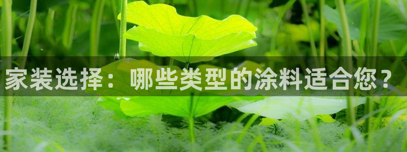 和记官网登陆：家装选择：哪些类型的涂料适合您？