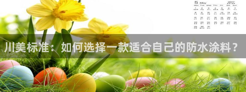 和记h8：川美标准：如何选择一款适合自己的防水涂料？