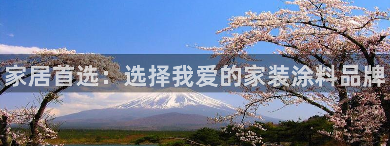 官方和记国际平台登录：家居首选：选择我爱的家装涂料品牌