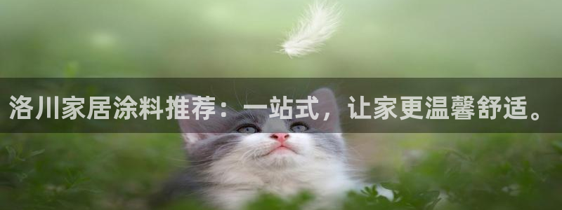 和记官网[中国]官方网站：洛川家居涂料推荐：一站式，让家更温馨舒适。