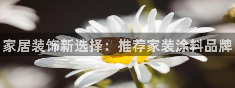 和记ag旗舰国际：家居装饰新选择：推荐家装涂料品牌
