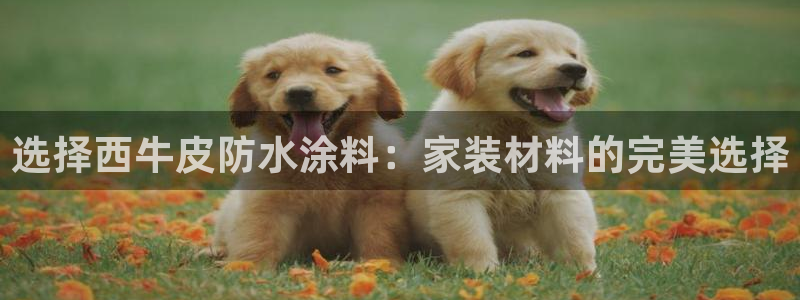 和记AG：选择西牛皮防水涂料：家装材料的完美选择