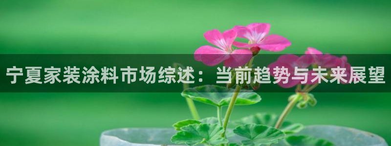 和记AG网站：宁夏家装涂料市场综述：当前趋势与未来展望