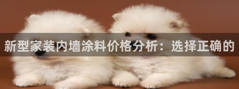 和记ag网址：新型家装内墙涂料价格分析：选择正确的