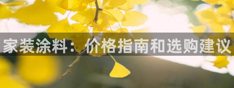 和记hj：家装涂料：价格指南和选购建议