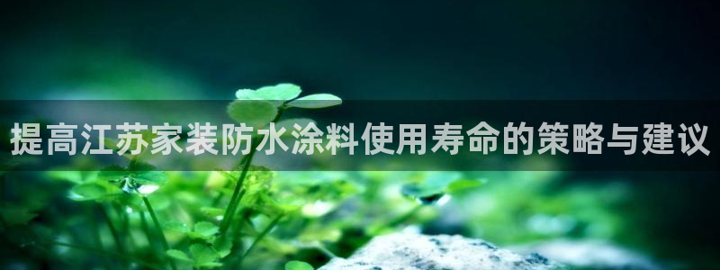 和记平台注册：提高江苏家装防水涂料使用寿命的策略与建议