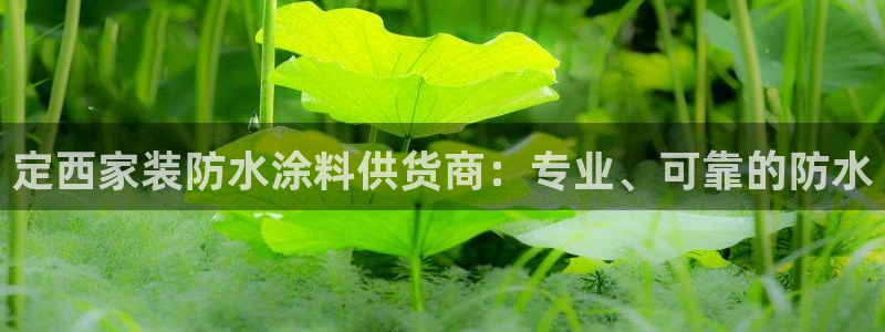 和记官方平台：定西家装防水涂料供货商：专业、可靠的防水