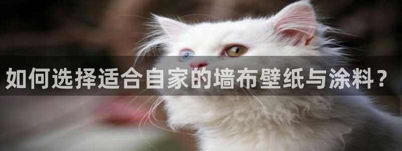 和记平台下载：如何选择适合自家的墙布壁纸与涂料？