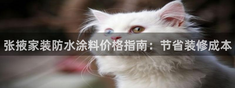 和记官方直营注册：张掖家装防水涂料价格指南：节省装修成本