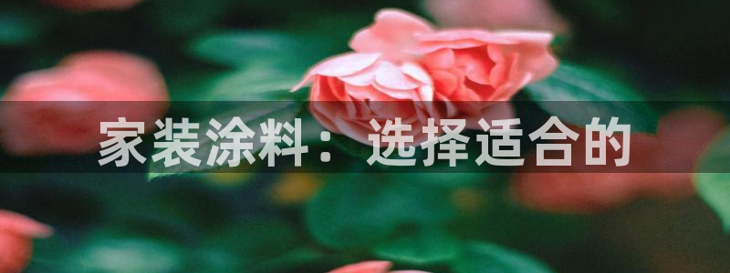 和记AG网站：家装涂料：选择适合的